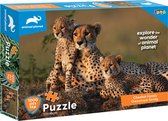 Luna Puzzel Animal Planet Cheetah 73x48 Cm Karton 1000 Stukjes