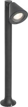 QAZQA ciara - Moderne Staande Buitenlamp | Staande Lamp voor buiten - 1 lichts - H 60 cm - Zwart - Buitenverlichting
