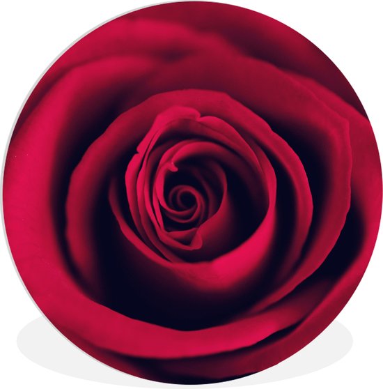 WallCircle - Wall Circle - Wall Circle Indoor - Roses - Rouge - Détail - 120x120 cm - Décoration murale - Peintures Ronds XXL