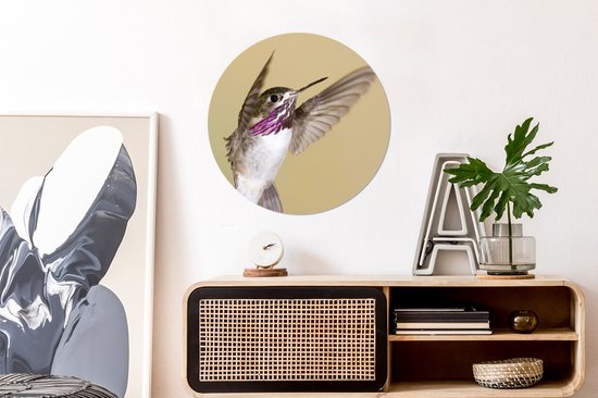 WallCircle - Stickers muraux - Cercle Papier Peint - Colibri - Vogel - Violet - 50x50 cm - Cercle Mural - Auto Adhésif - Autocollant Rond Papier Peint