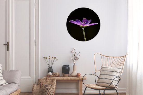 WallCircle - Stickers muraux - Cercle de papier peint - Un géranium violet sur fond noir - 80x80 cm - Cercle mural - Autocollant - Sticker papier peint rond