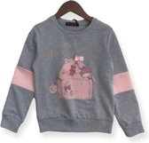 Sweater New York grijs - Trui - Konijn - 122/128