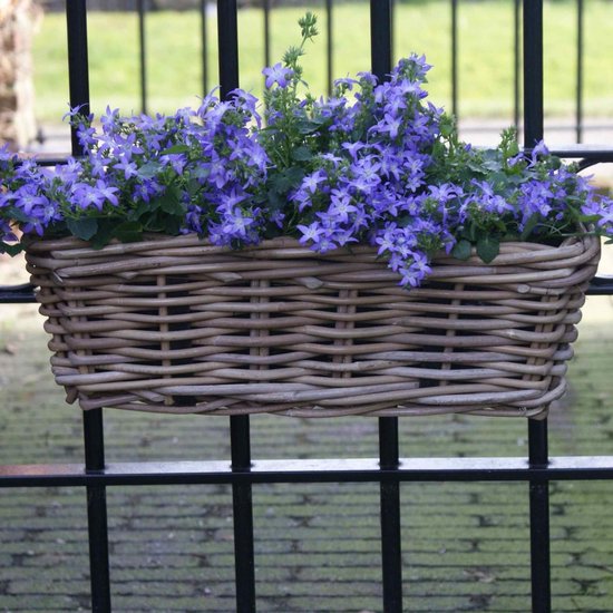 vidaXL Balkonbakken 2 st 80x20x15 cm wicker met PE-voering