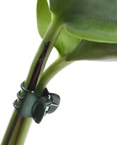 Plantenklemmetjes - Donkergroen - 50 stuks - Voor orchideeën of klimplanten - Plantenondersteuning, orchideeën klemmetjes, kleine planten klemmetjes, plantenclips, planten opbinden, knijpertjes