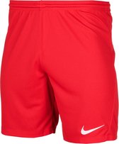 Nike Park III Sportbroek Mannen - Maat L