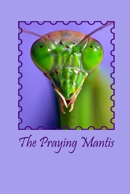 The Praying Mantis