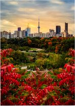 Zomers uitzicht op de skyline van Toronto met CN Tower - Foto op Posterpapier - 42 x 59.4 cm (A2)