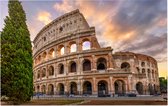 Flavisch Amfitheater bekend als Colosseum in Rome - Foto op Forex - 90 x 60 cm