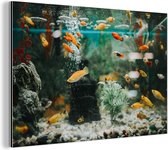Wanddecoratie Metaal - Aluminium Schilderij Industrieel - Kleine visjes in een aquarium - 60x40 cm - Dibond - Foto op aluminium - Industriële muurdecoratie - Voor de woonkamer/slaapkamer