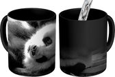 Magische Mok - Foto op Warmte Mokken - Koffiemok - Dierenprofiel rollende panda in zwart-wit - Magic Mok - Beker - 350 ML - Theemok