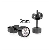 Aramat jewels ® - Oorbellen 5mm zwart zweerknopjes rond chirurgisch staal transparant