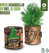 Keukentuintje kweekset biologische Dille / BIO/ duurzaam/ gerecycled/ cadeau
