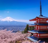 Chureito Pagoda en kersenbloesem in bloei bij Mount Fuji - Fotobehang (in banen) - 250 x 260 cm