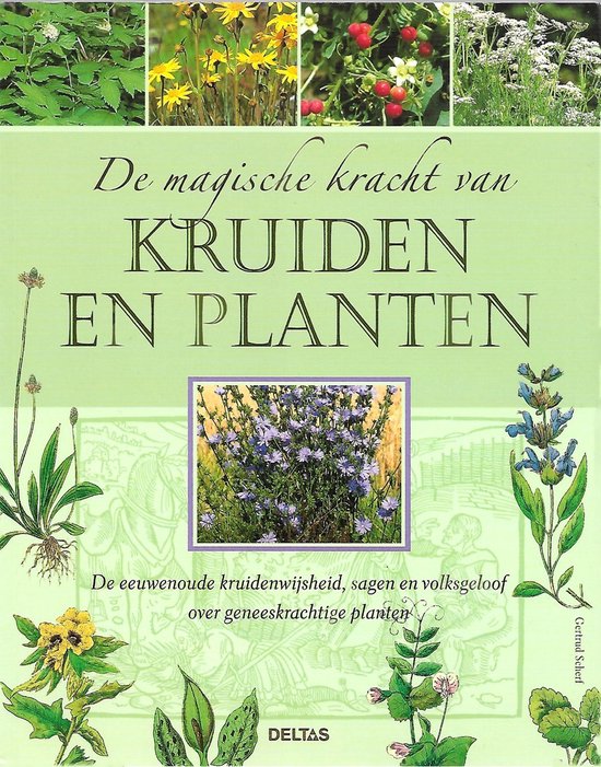 Cover van het boek 'De magische kracht van kruiden en planten' van Getrud Scherf