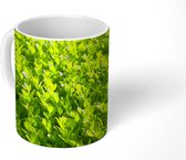 Mok - Close up van de Buxus - 350 ML - Beker
