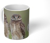 Mok - Drie holenuilen - 350 ML - Beker