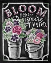 Diamond painting - Bloom where you're planted - tekst - 50x40 - full - vierkant