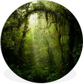 WallCircle - Wandcirkel ⌀ 120 - Groen getinte afbeelding van het regenwoud van Costa Rica - Ronde schilderijen woonkamer - Wandbord rond - Muurdecoratie cirkel - Kamer decoratie binnen - Wanddecoratie muurcirkel - Woonaccessoires XXL