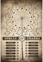 Grupo Erik Harry Potter Spells and Charms  Poster - 61x91,5cm