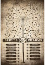 Poster Harry Potter Spells and Charms 61x91,5cm