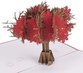 Hartensteler - 3D Pop-Up Wenskaart - Rode Esdoorn Kaart - Red Maple Tree Pop Up Card