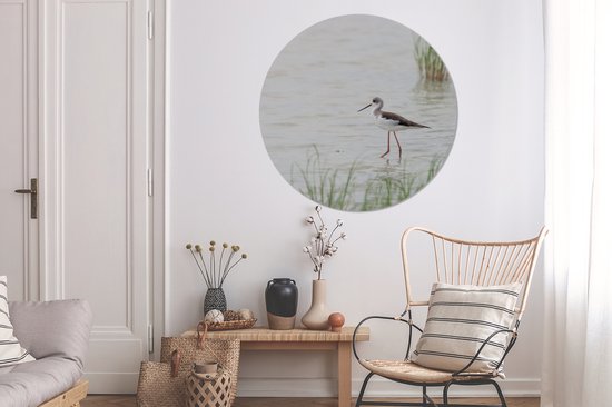 Echasse à ailes noires patauge en eau peu profonde Cercle mural aluminium ⌀ 120 cm - tirage photo sur cercle mural / cercle vivant / cercle jardin (décoration murale) XXL / Groot format!