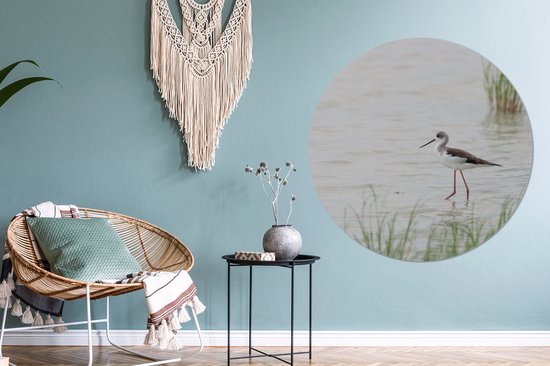 Echasse à ailes noires patauge en eau peu profonde Cercle mural aluminium ⌀ 120 cm - tirage photo sur cercle mural / cercle vivant / cercle jardin (décoration murale) XXL / Groot format!