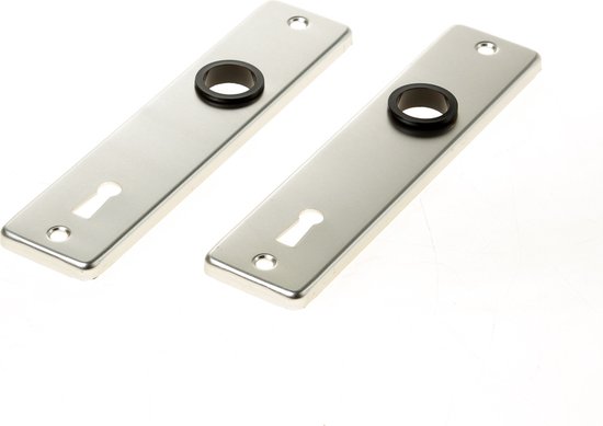 Deux rosaces de porte argentées avec trou de serrure et anneau noir.