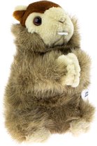 Marmot 20 CM