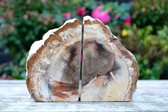 Decoratief Versteend Hout Boekensteunen - 2187 gram