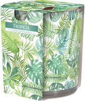 geurkaars tropical