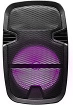 Blaupunkt BP-3975 bluetooth speaker met lichteffecten (inclusief statief)