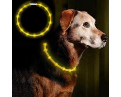 Led Hondenhalsband - Lichtgevende Hondenhalsband - Must - Op Maat Knipbaar - 20-70CM -USB Oplaadbaar - geel - Hond - Halsband - Lichtgevend - Cadeau