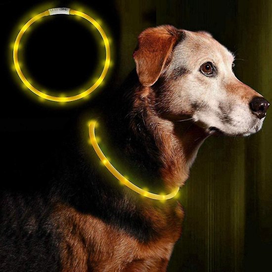 Led Hondenhalsband - Lichtgevende Hondenhalsband - Must - Op Maat Knipbaar - 20-70CM -USB Oplaadbaar - geel - Hond - Halsband - Lichtgevend - Cadeau