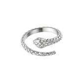 YWG - Ring Slang Structuur - Zilver - Stainless steel