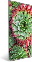 PAASACTIE 2022, GEEN BTW, 21% KORTING: VAN €159,95 VOOR €126,50. Invroheat infrarood verwarmingspaneel Succulents. Een Invroheat infrarood verwarmingspaneel is duurzaam, zeer energie efficiën