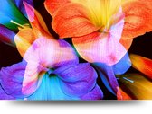 Maison de France - Voor acrylglas Kleurige bloemen - donker - plexiglas - 80 x 120 cm