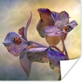 Twee lieveheersbeestjes op bloemen Poster 120x80 cm - Foto print op Poster (wanddecoratie)