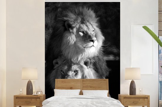 Papier peint - Papier peint photo Deux lions - noir et blanc - Largeur 160 cm x hauteur 240 cm