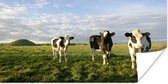 Drie Friese koeien in een mooie omgeving Poster 40x20 cm - Foto print op Poster (wanddecoratie woonkamer / slaapkamer) / Boerderijdieren Poster