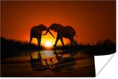 Poster Olifanten koppel bij zonsondergang - 30x20 cm