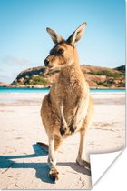 Kangoeroe op het strand Poster 40x60 cm - Foto print op Poster (wanddecoratie woonkamer / slaapkamer) / Wilde dieren Poster