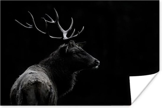 Hert zwart-wit Poster 60x40 cm - Foto print op Poster (wanddecoratie woonkamer / slaapkamer) / Wilde dieren Poster
