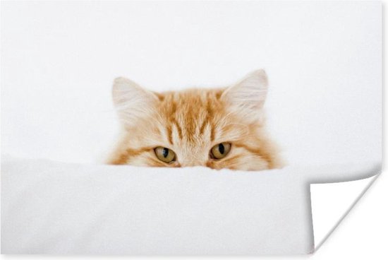 Poster Portrait de chat rouge 90x60 cm - Tirage photo sur Poster (décoration murale salon / chambre) / Poster Animaux