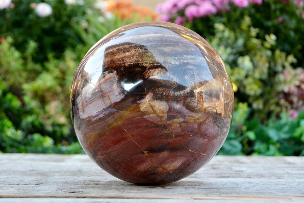 Decoratief versteend houten bol - 5024 gram