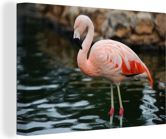 Canvas Schilderij Een flamingo staat in het water voor de rotsen - 120x80 cm - Wanddecoratie