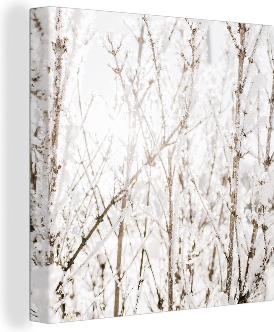 Canvas Schilderij Winter - Takken - IJs - 50x50 cm - Wanddecoratie