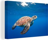 Canvas Schilderij Schildpad in de oceaan - 60x40 cm - Wanddecoratie