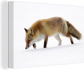 Hunting Fox Canvas 120x80 cm - Tirage photo sur toile (Décoration murale salon / chambre) / Peintures sur toile Animaux