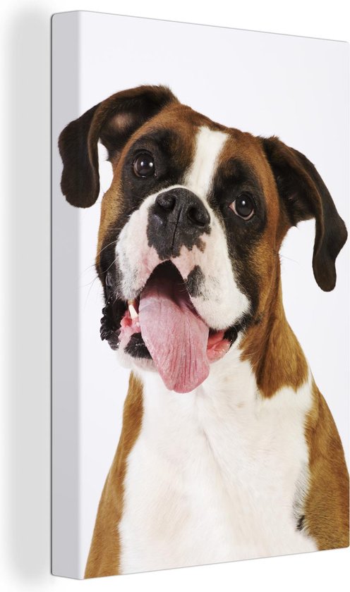 Boxer avec langue sur toile 60x90 cm - Tirage photo sur toile (Décoration murale salon / chambre) / Peintures sur toile pour Animaux domestiques
